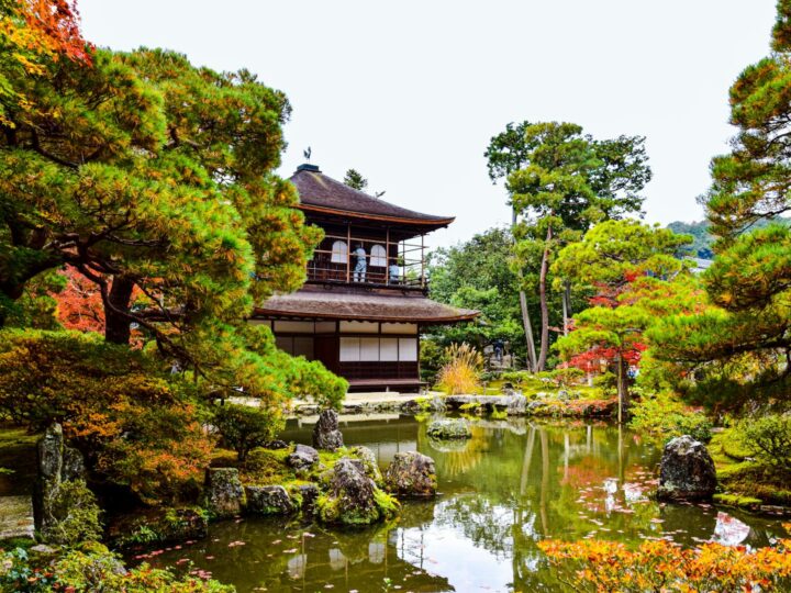 Stanley Park  Garden